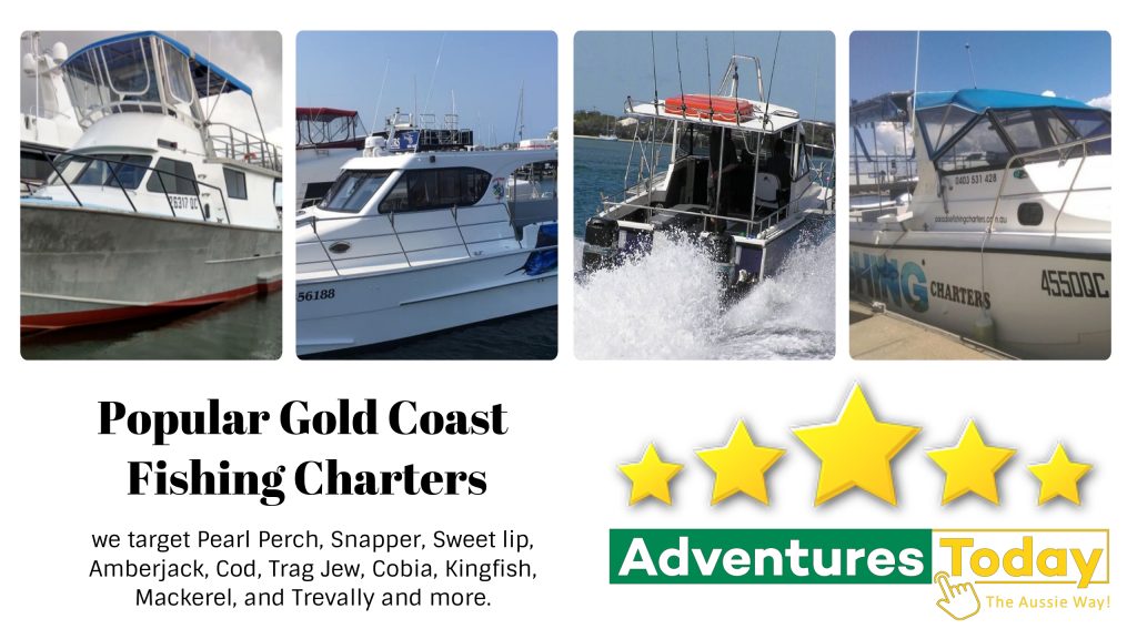 Gold Coast Fishing Discovery Fishing » #1 Gold Coast Fishing