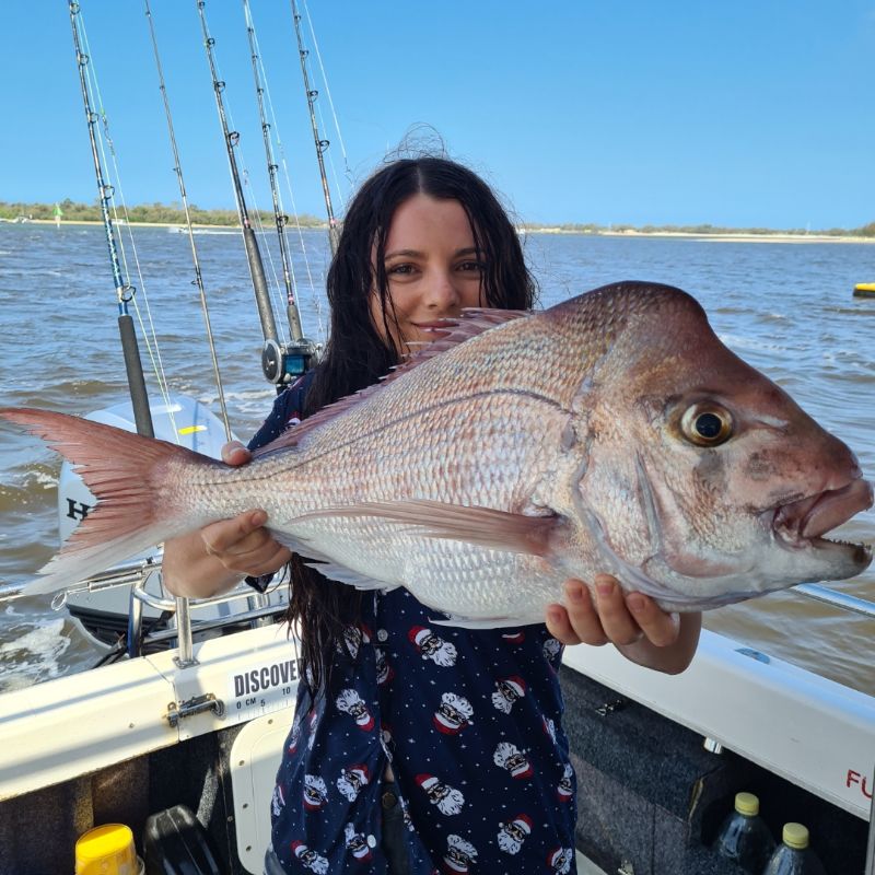 snapper fishing charters