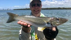 Gold Coast Whiting Fishing Trips