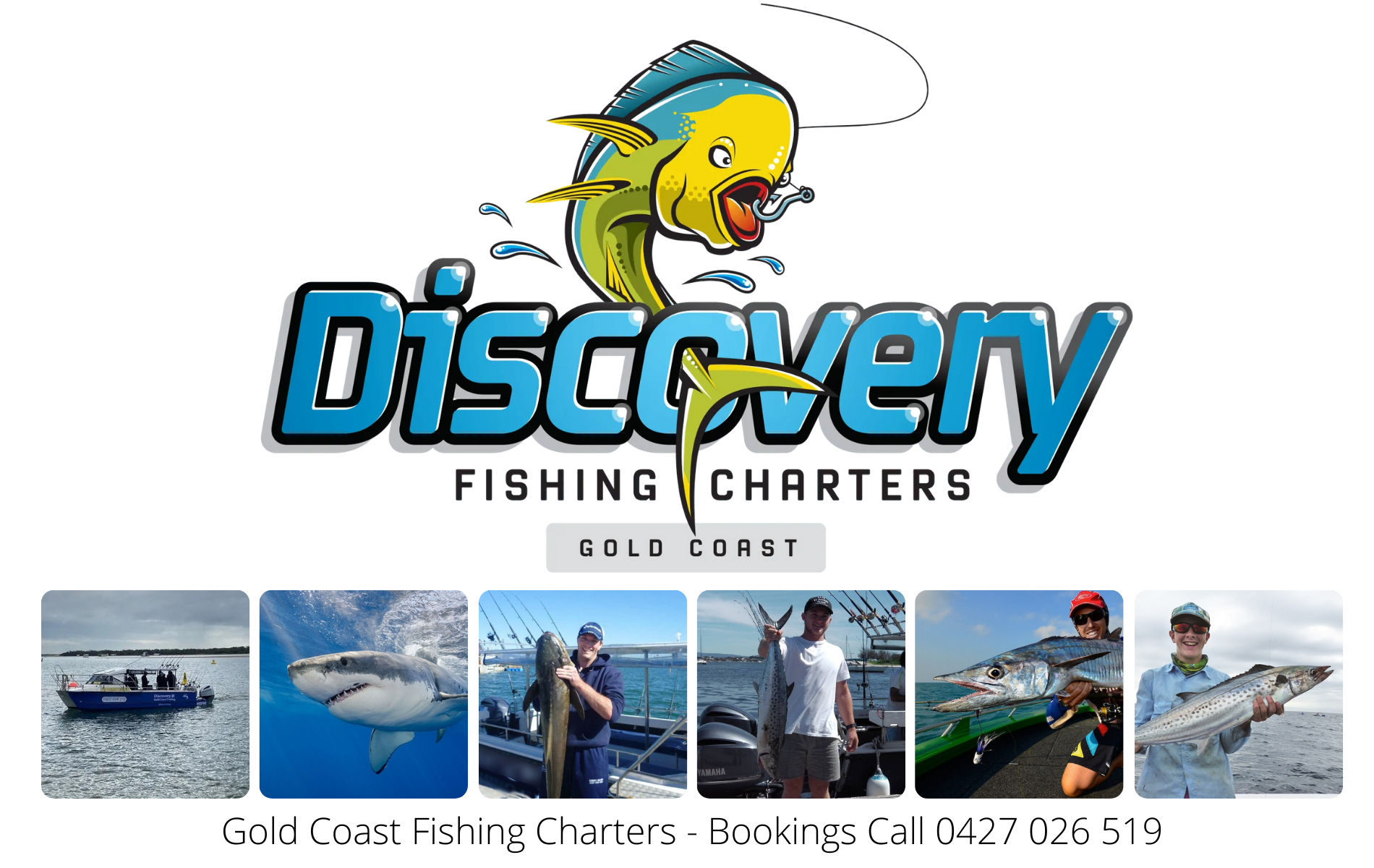 Gold Coast Fishing Discovery Fishing » #1 Gold Coast Fishing