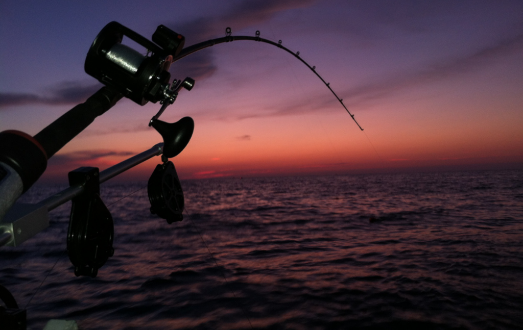 Night Fishing Charters Gold Coast