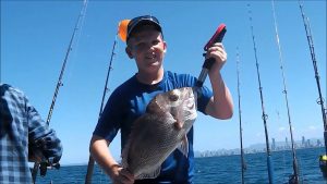 Discovery Gold Coast Fishing Charters