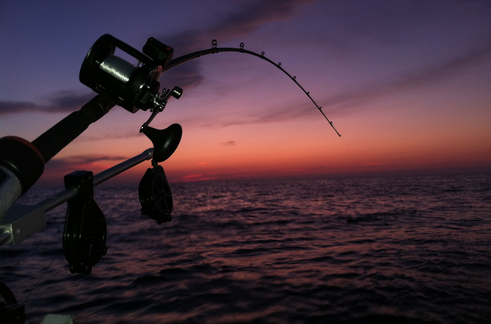 Gold Coast Night Fishing » Gold Coast Fishing #1 Full Moon Charters